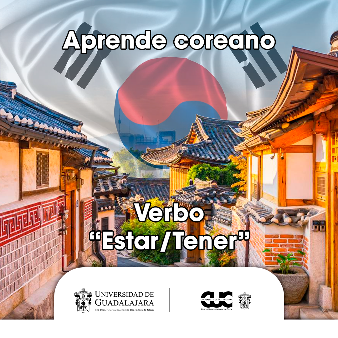 verbo estar tener coreano