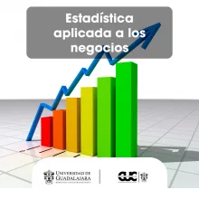 estadisticas negocios
