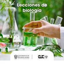 lecciones biologia