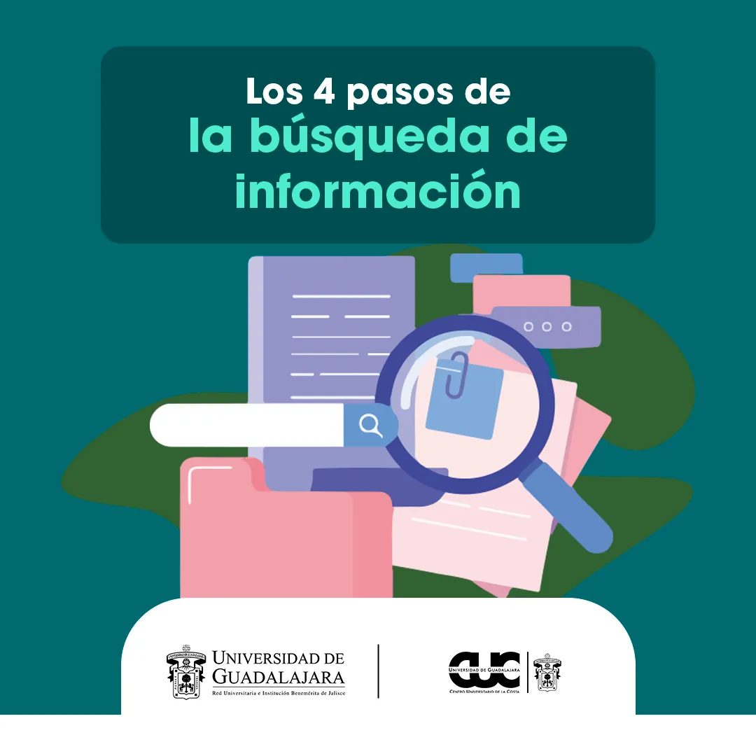 pasos busqueda informacion