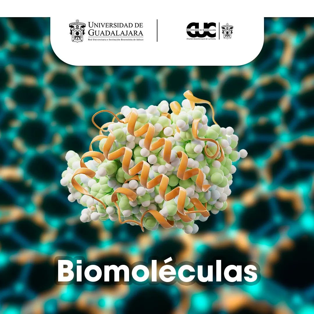 biomoleculas