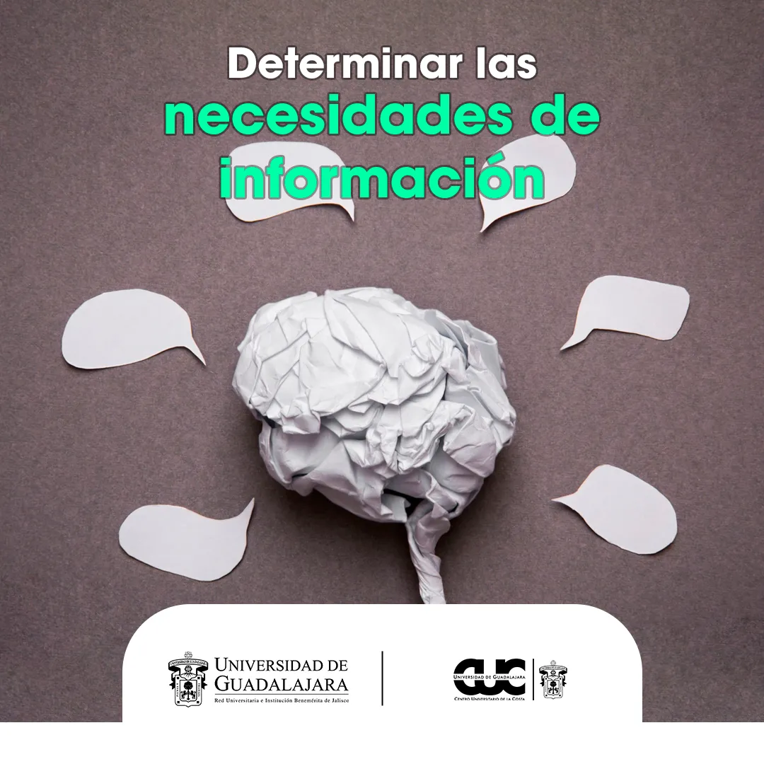 determinar necesidades informacion