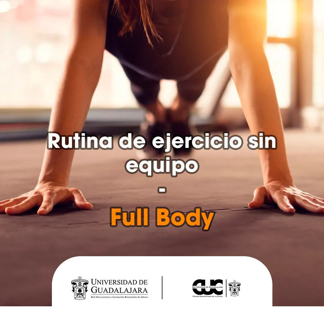 ejercicios fullbody