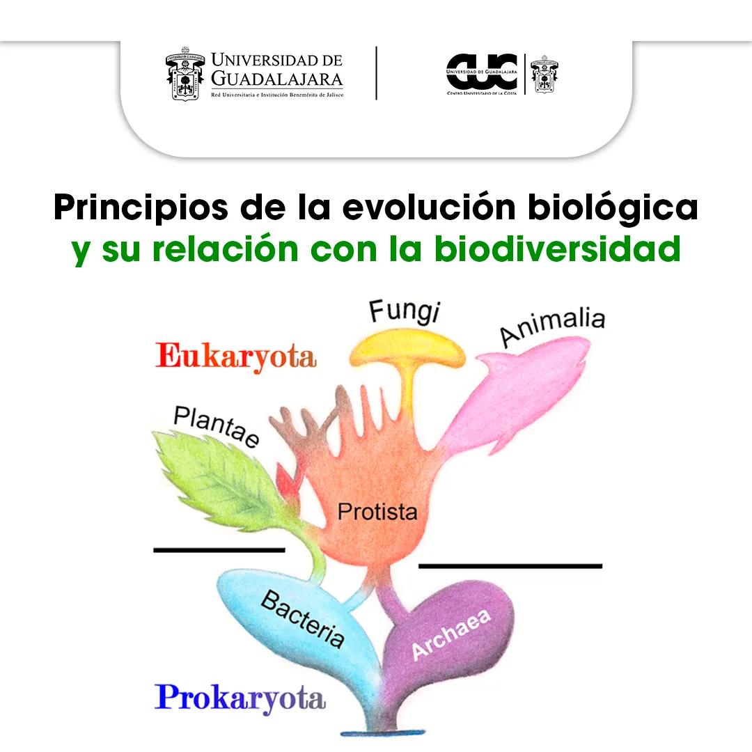evolucion biologica