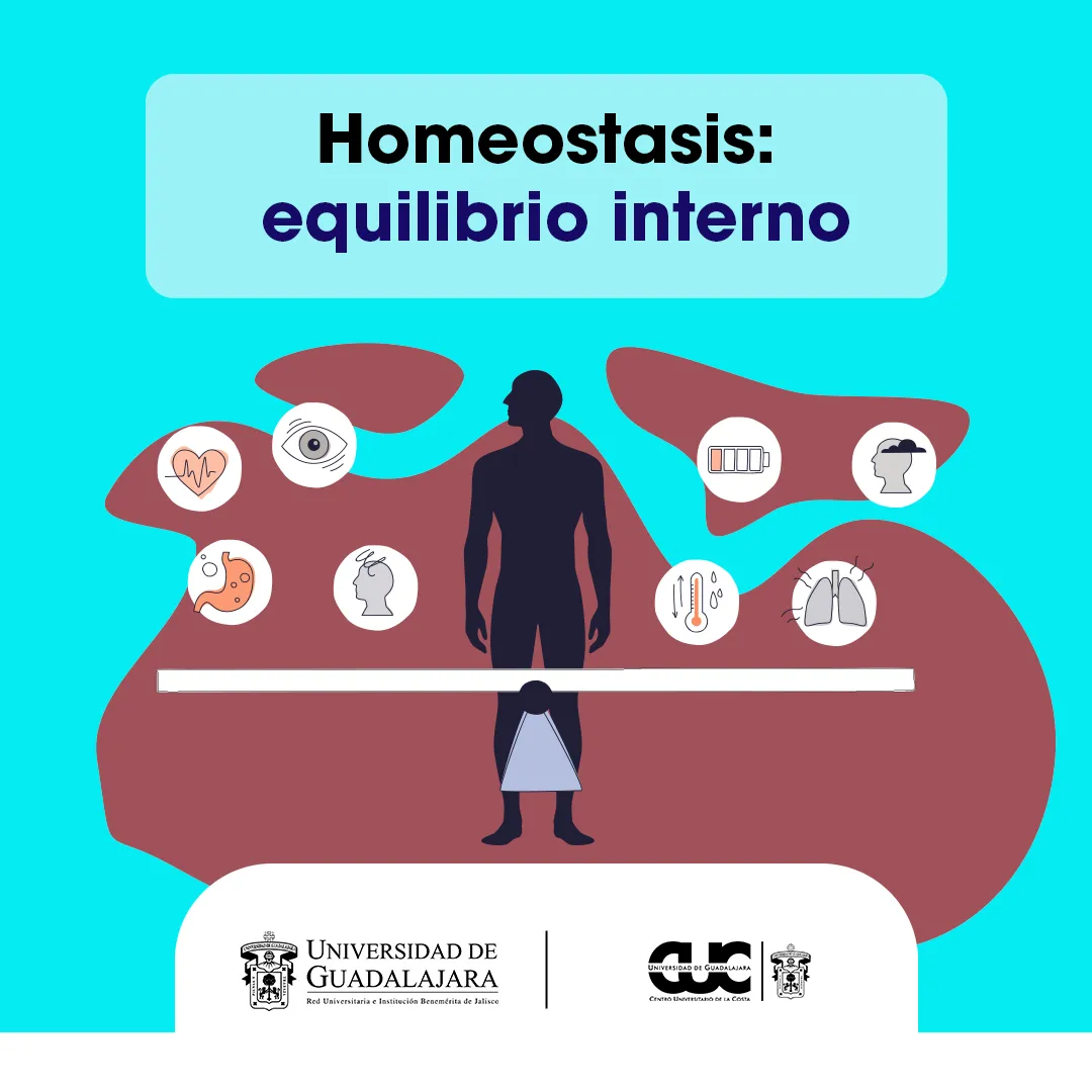 homeostasis