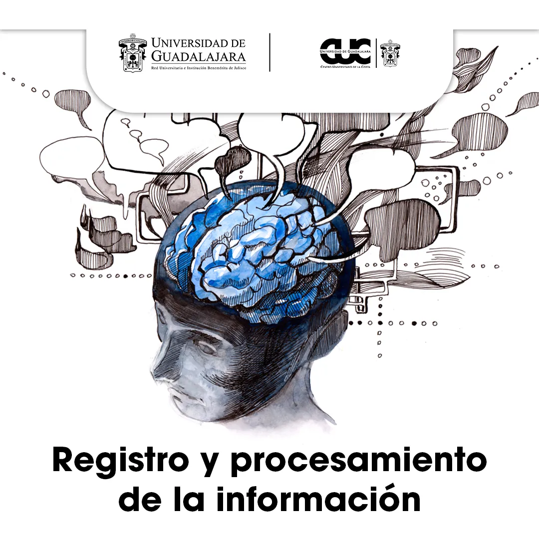 registro procesamiento informacion