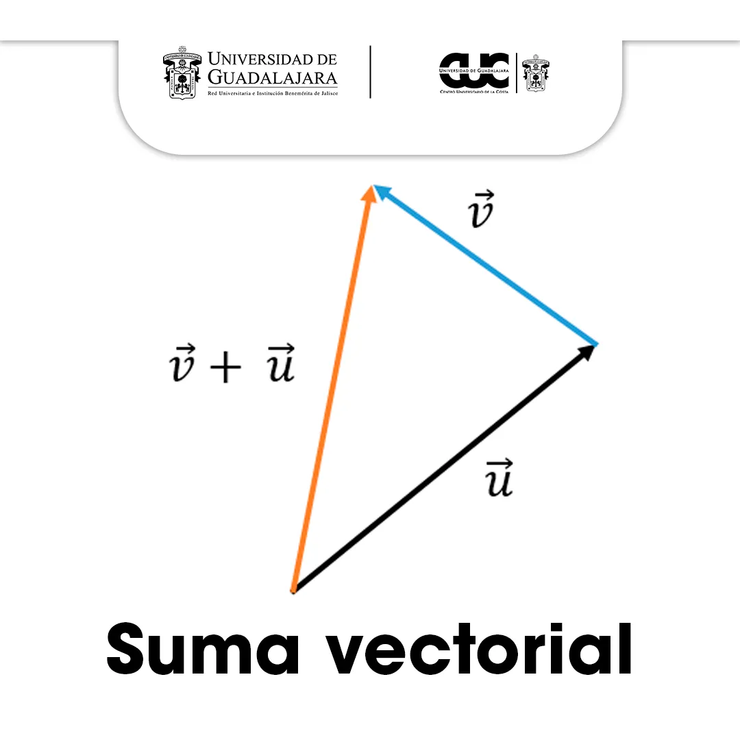 suma vectorial